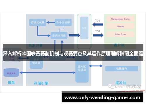 深入解析欧国联赛赛制机制与观赛要点及其运作原理理解指南全面篇