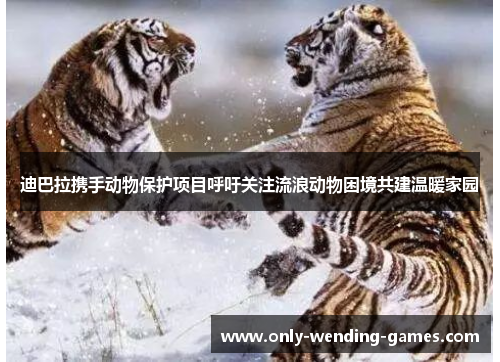 迪巴拉携手动物保护项目呼吁关注流浪动物困境共建温暖家园 迪巴拉携手动物保护项目呼吁关注流浪动物困境共建温暖家园